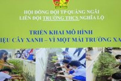 Bồn hoa tự chủ